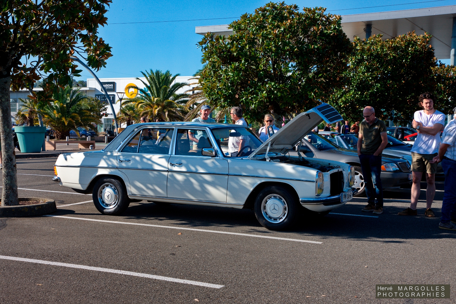Mercedes W114 -01.jpg